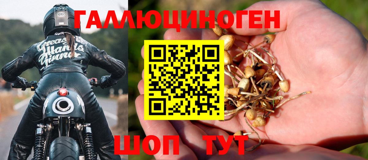 Галлюциногенные грибы Magic Shrooms  Галлюциногенные грибы Psilocybe  Вход с VPN  Семилуки 