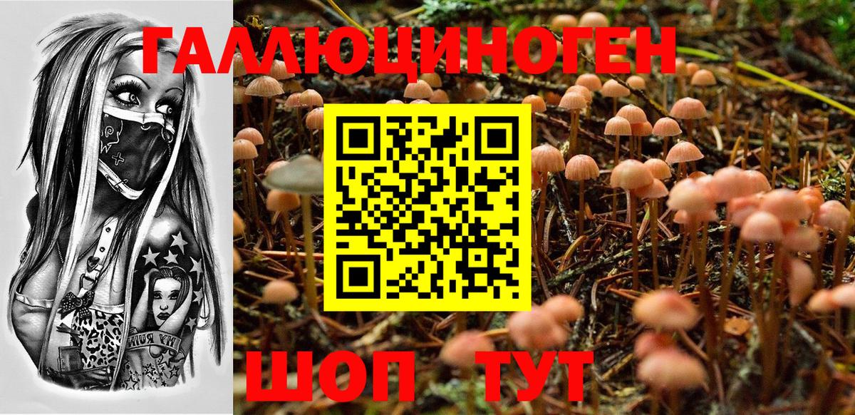 Псилоцибиновые грибы Psilocybe Семилуки
